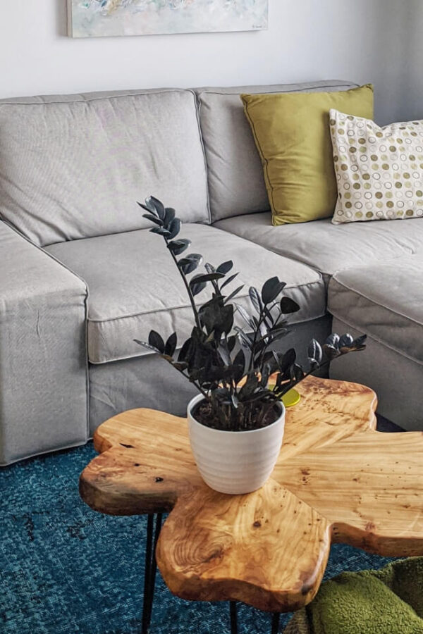 Spathiphyllum - Image 2